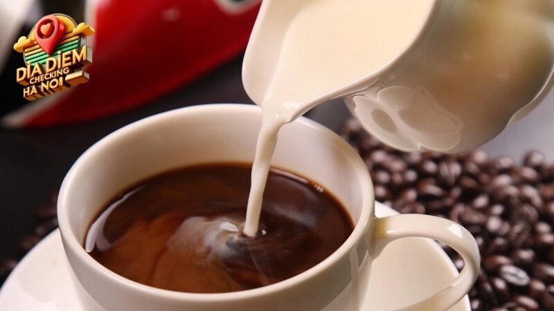 Không Gian Ấm Cúng Và Độc Đáo Của Xofa Cafe