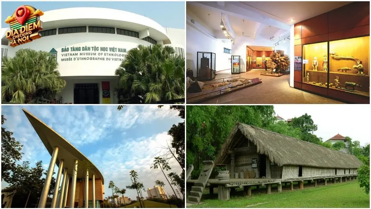 Các hiện vật và bộ sưu tập đặc sắc