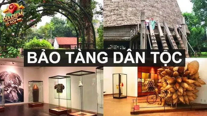 Hành trình khám phá 3 khu vực trưng bày chính