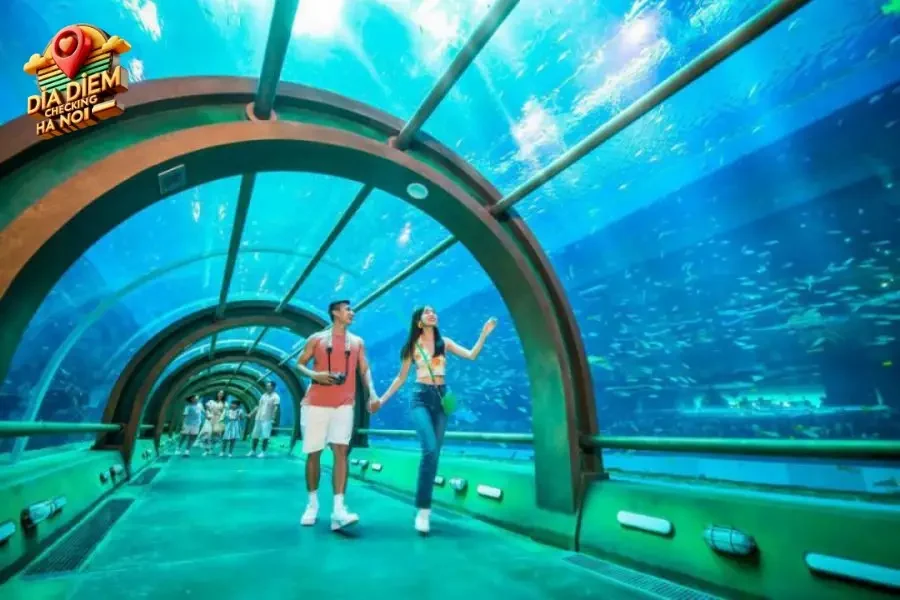 Làm sao để tận dụng tối đa chuyến đi tới Khu vui chơi Vinpearl Aquarium
