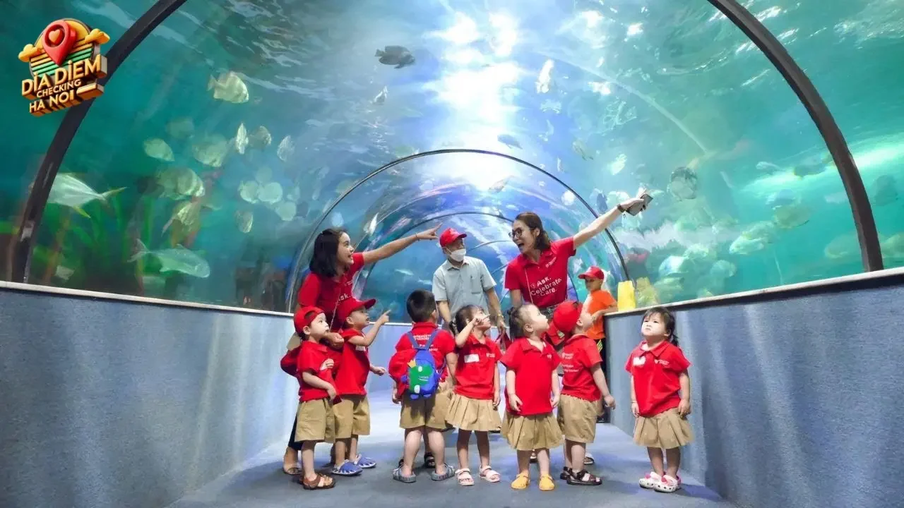 Các hoạt động nổi bật tại Vinpearl Aquarium