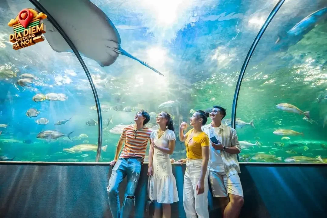 Giới thiệu về Khu vui chơi Vinpearl Aquarium