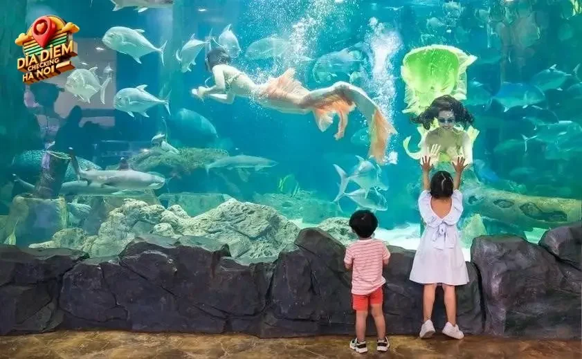 Những điểm nổi bật của Vinpearl Aquarium