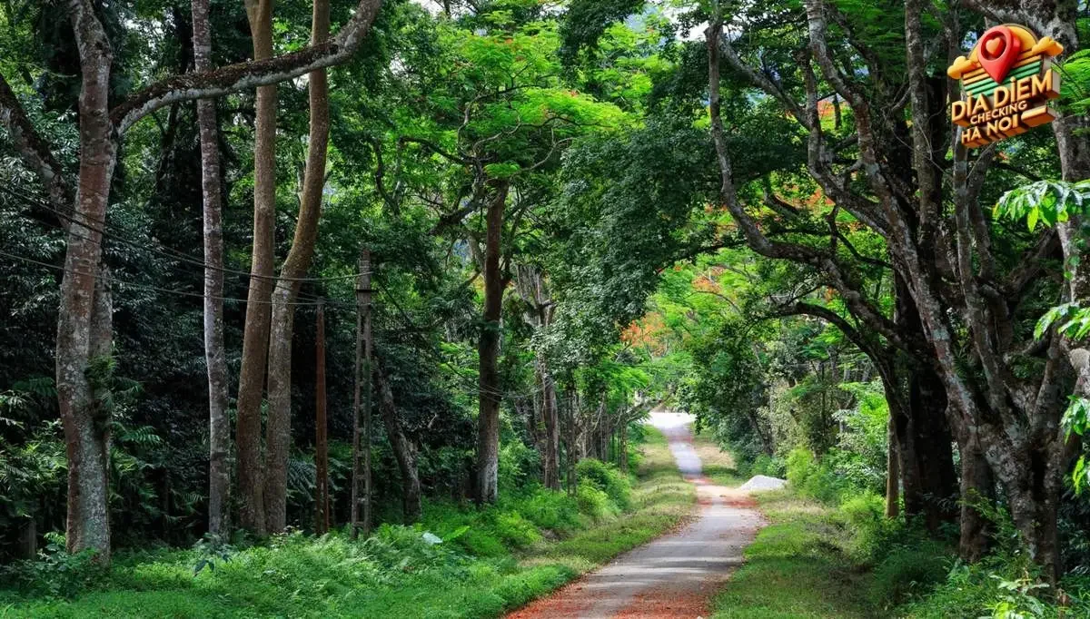 Các địa điểm nổi bật trong Vườn quốc gia Ba Vì