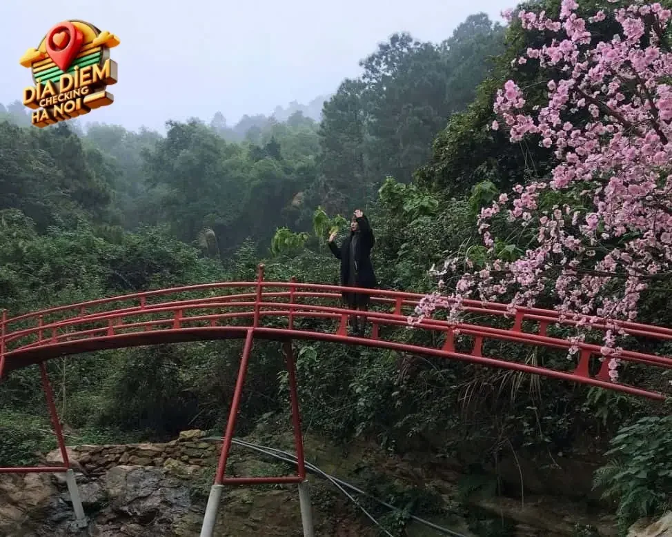 Thiên Phú Lâm: Chốn Dã Ngoại Tuyệt Vời