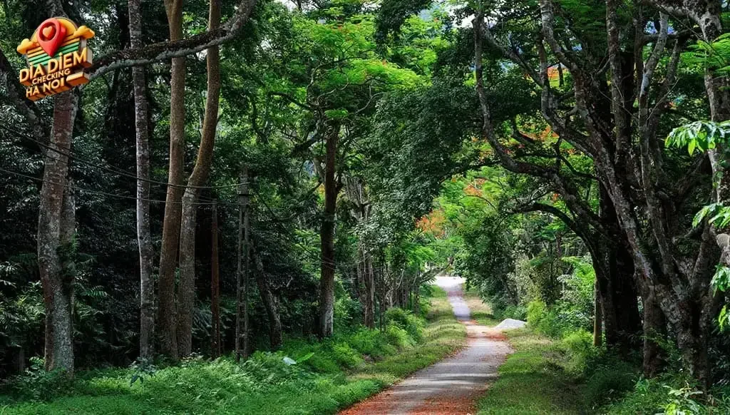 Những Lưu Ý Quan Trọng Cho Chuyến Đi Suối Cái Ba Vì
