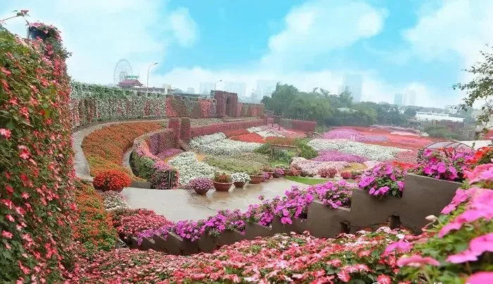 Vẻ Đẹp Mê Ly Của Thung Lũng Hoa