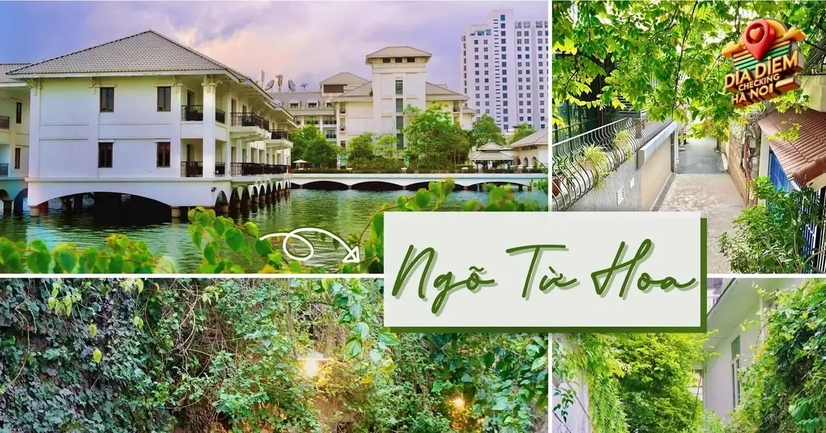 Vẻ Đẹp Về Vị Trí và Phong Cảnh