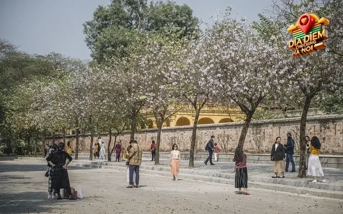 Vẻ đẹp của Đường Hoàng Diệu qua bốn mùa Vẻ đẹp của Đường Hoàng Diệu qua bốn mùa