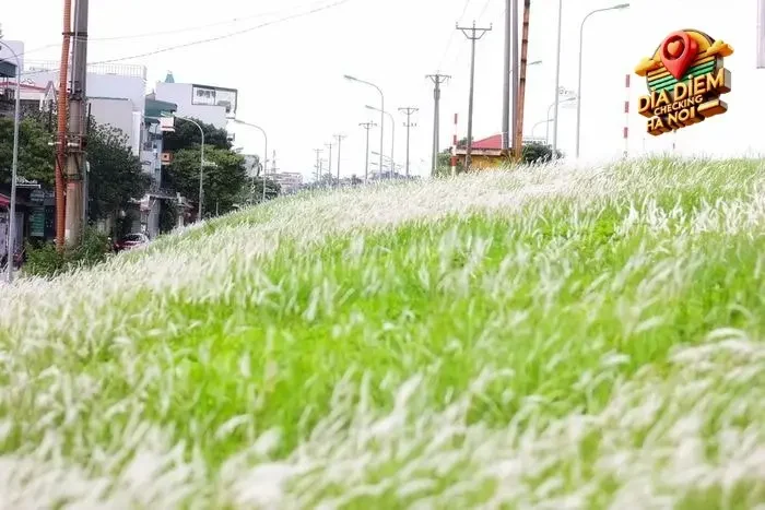 Vị trí và quy mô khu đô thị Việt Hưng Vị trí và quy mô khu đô thị Việt Hưng