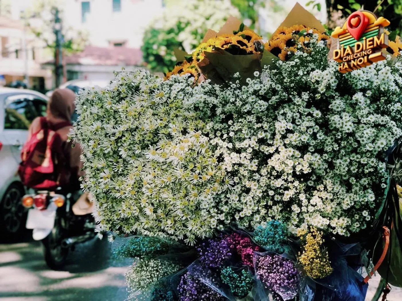 Các loại hoa đặc trưng của mùa thu Hà Nội