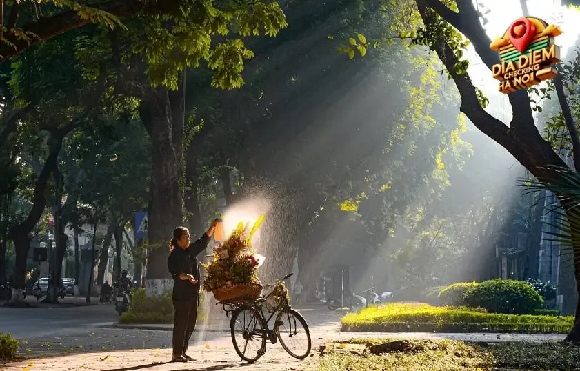 Hoạt động mua bán và cho thuê xe hoa